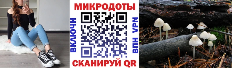 Галлюциногенные грибы MAGIC MUSHROOMS  Кострома 